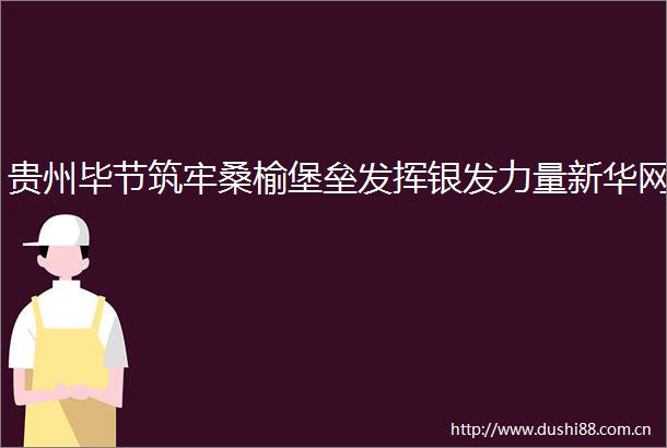 贵州毕节筑牢桑榆堡垒发挥银发力量新华网