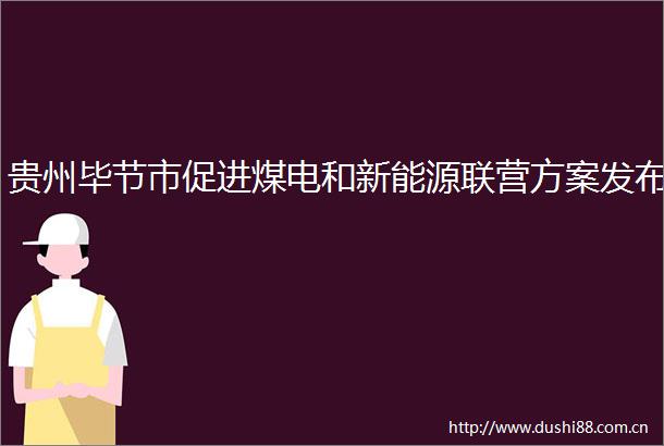 贵州毕节市促进煤电和新能源联营方案发布
