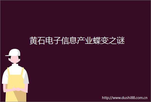 黄石电子信息产业蝶变之谜
