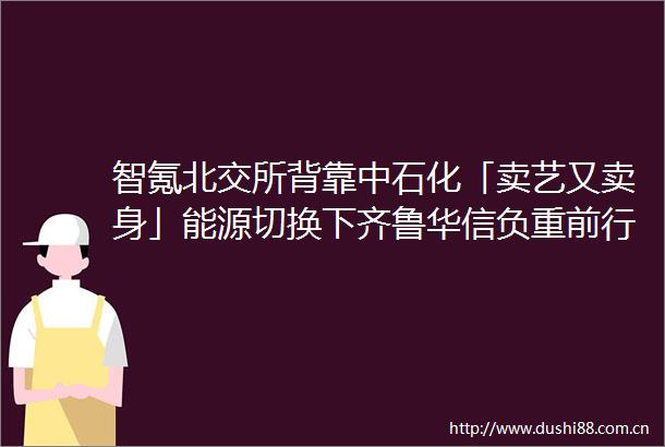 智氪北交所背靠中石化「卖艺又卖身」能源切换下齐鲁华信负重前行