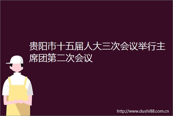 贵阳市十五届人大三次会议举行团第二次会议