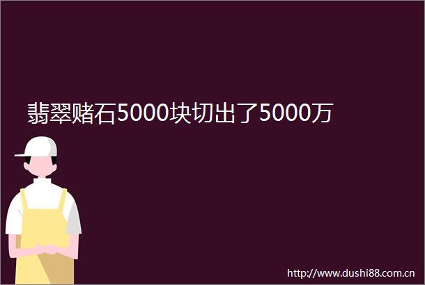 翡翠赌石5000块切出了5000万