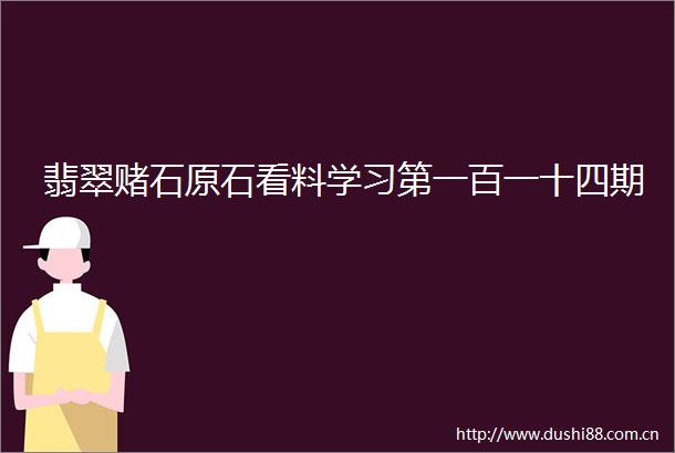 翡翠赌石原石看料学习第一百一十四期