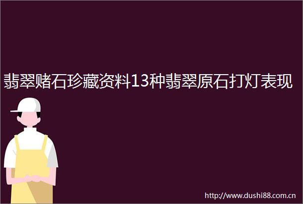 翡翠赌石珍藏资料13种翡翠原石打灯表现