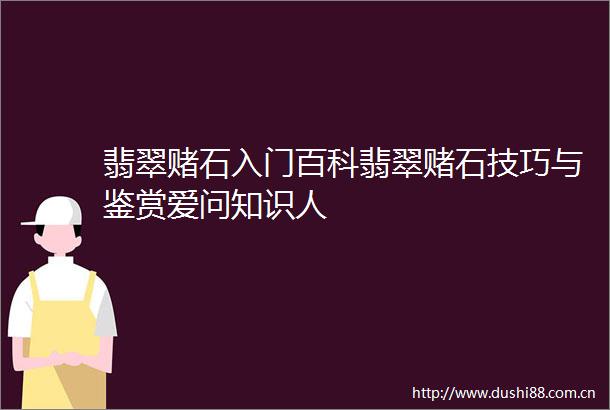翡翠赌石入门百科翡翠赌石技巧与鉴赏爱问知识人