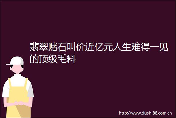 翡翠赌石叫价近亿元人生难得一见的顶级毛料