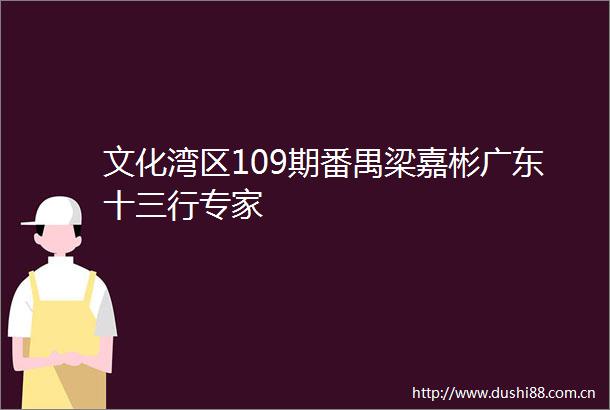 文化湾区109期番禺梁嘉彬广东十三行专家