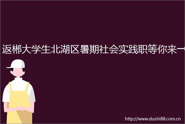 返郴大学生北湖区暑期社会实践职等你来→