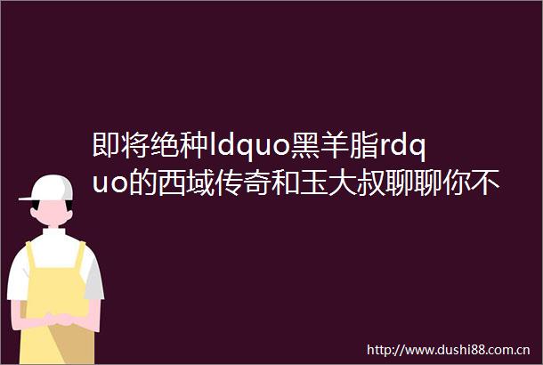 即将绝种ldquo黑羊脂rdquo的西域传奇和玉大叔聊聊你不知道的塔青往事