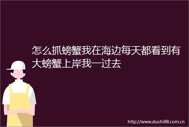 怎么抓螃蟹我在海边每天都看到有大螃蟹上岸我一过去