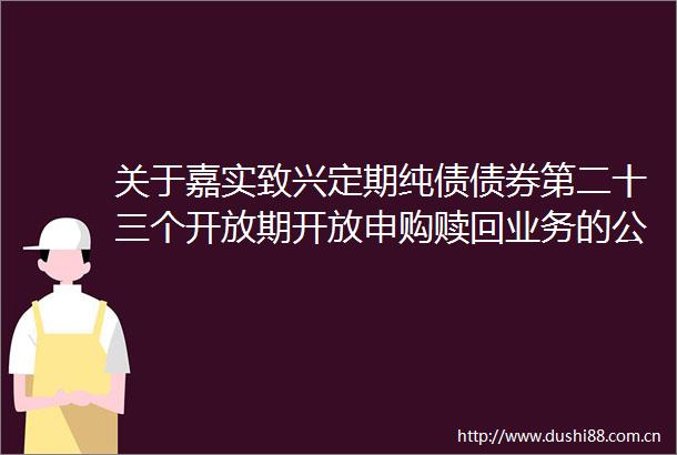 关于嘉实致兴定期纯债债券第二十三个开放期开放申购赎回业务的公告