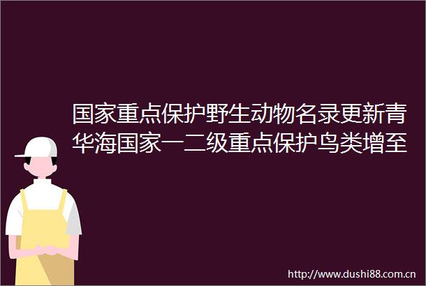 重点保护野生动物名录更新青华海一二级重点保护鸟类增至49种