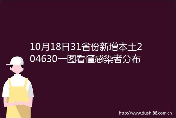 10月18日31省份新增本土204630一图看懂感染者分布