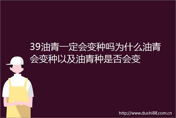 39油青一定会变种吗为什么油青会变种以及油青种是否会变