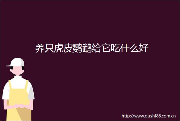 养只虎皮鹦鹉给它吃什么好