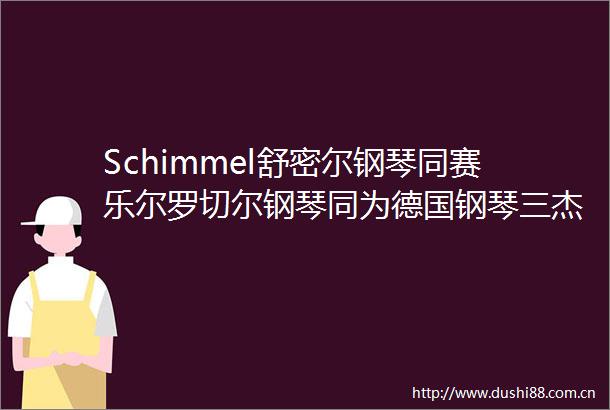 Schimmel舒密尔钢琴同赛乐尔罗切尔钢琴同为德国钢琴三杰