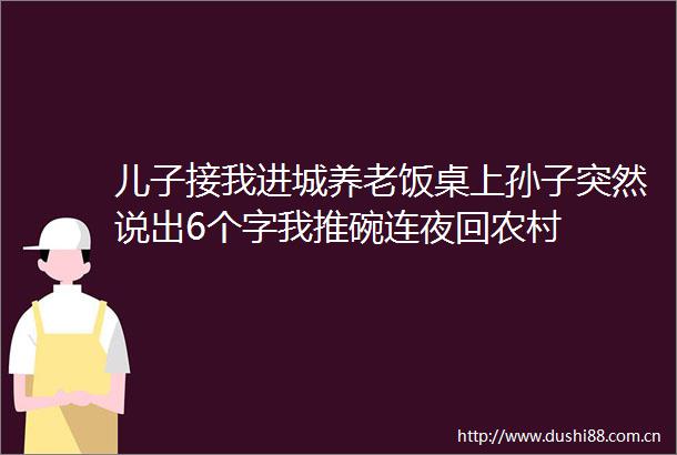 儿子接我进城养老饭桌上孙子突然说出6个字我推碗连夜回农村