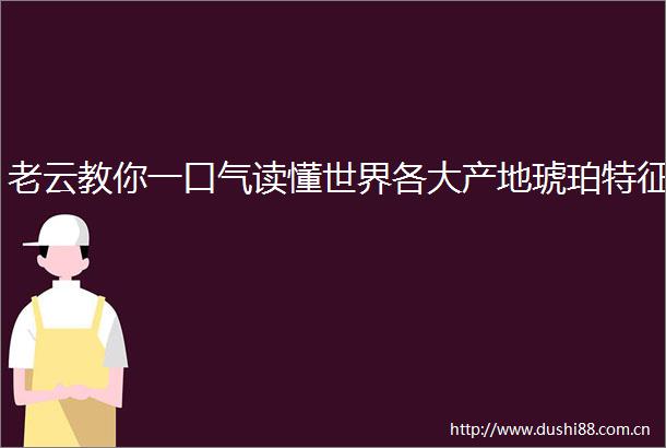 老云教你一口气读懂世界各大产地琥珀特征