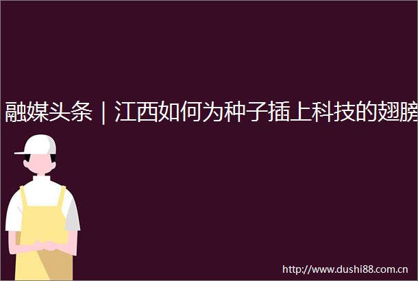 融媒头条｜江西如何为种子插上科技的翅膀