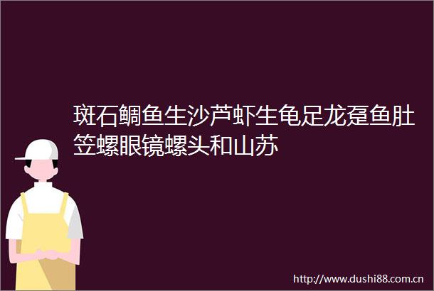 斑石鲷鱼生沙芦虾生龟足龙趸鱼肚笠螺眼镜螺头和山苏