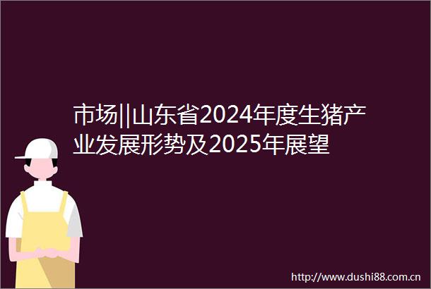 市场‖山东省2024年度生猪产业发展形势及2025年展望