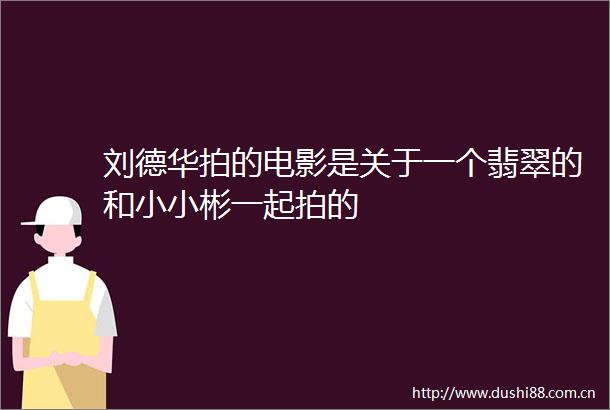 刘德华拍的电影是关于一个翡翠的和小小彬一起拍的