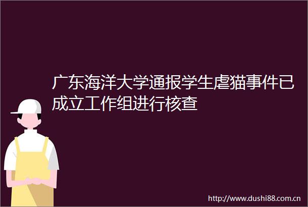 广东海洋大学通报学生虐猫已成立工作组进行核查