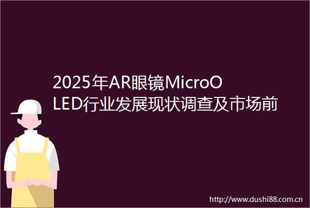 2025年AR眼镜MicroOLED行业发展现状调查及市场前景研究分析