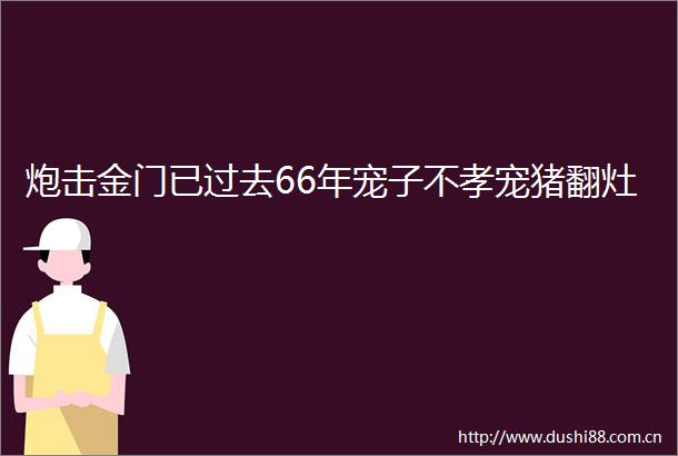 炮击金门已过去66年宠子不孝宠猪翻灶