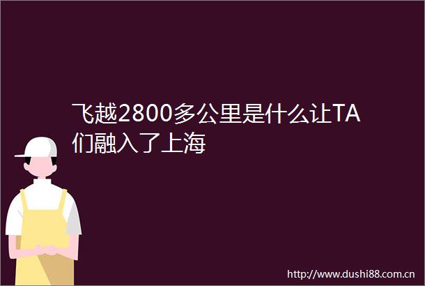 飞越2800多公里是什么让TA们融入了上海