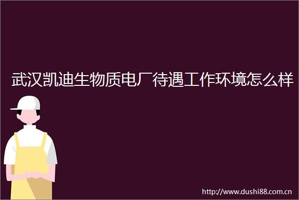 武汉凯迪生物质电厂待遇工作环境怎么样