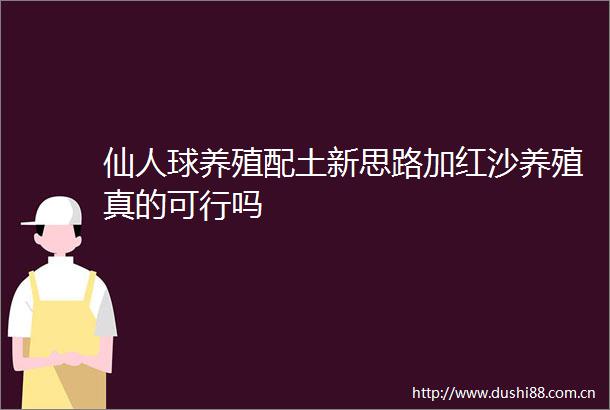 仙人球养殖配土新思路加红沙养殖真的可行吗