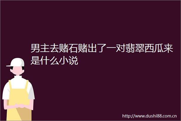 男主去赌石赌出了一对翡翠西瓜来是什么小说