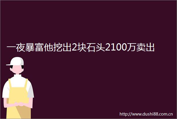 一夜暴富他挖出2块石头2100万卖出