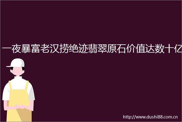 一夜暴富老汉捞绝迹翡翠原石价值达数十亿