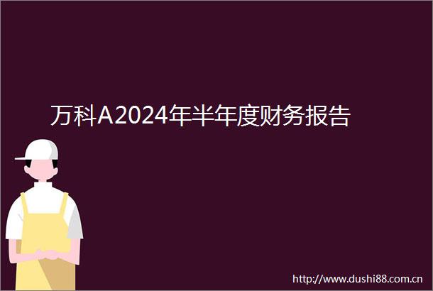 万科A2024年半年度财务报告