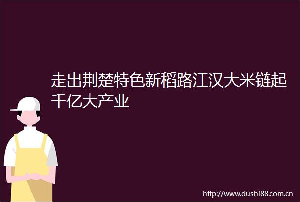 走出荆楚特色新稻路江汉大米链起千亿大产业