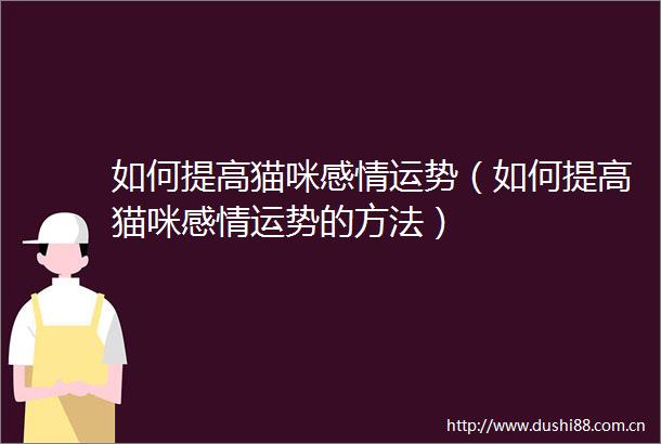 如何提高猫咪感情运势（如何提高猫咪感情运势的方法）