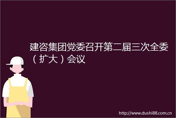 建咨集团党委召开第二届三次全委（扩大）会议