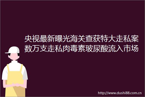 央视最新海关查获特大走私案数万支走私肉毒素玻尿酸流入市场