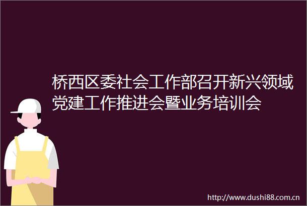 桥西区委社会工作部召开新兴领域党建工作推进会暨业务培训会