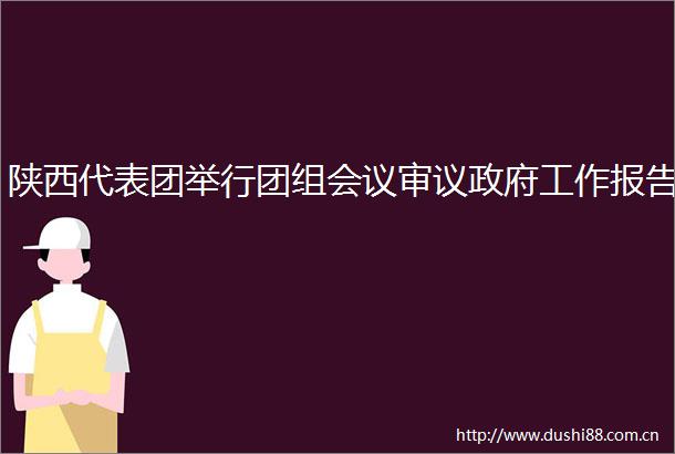 陕西代表团举行团组会议审议工作报告