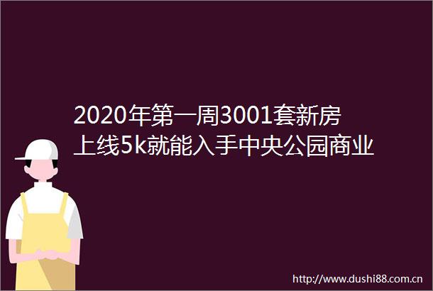 2020年第一周3001套新房上线5k就能入手中央公园商业