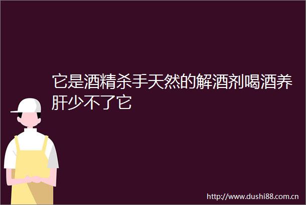 它是酒精杀手天然的解酒剂喝酒养肝少不了它