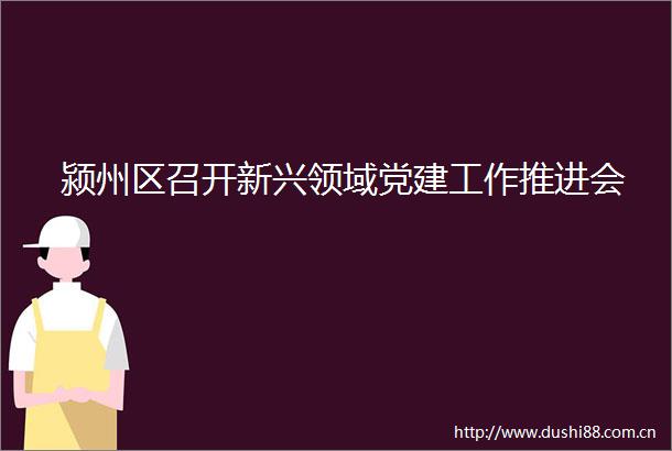 颍州区召开新兴领域党建工作推进会