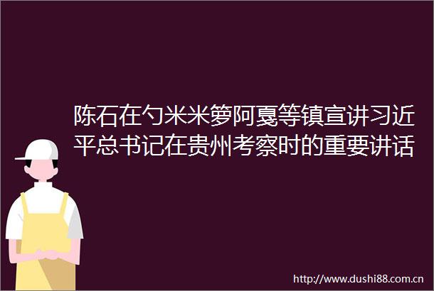 陈石在勺米米箩阿戛等镇宣讲总书记在贵州考察时的重要讲话精神并开展巡林巡河及督导检查森林防火封禁工作