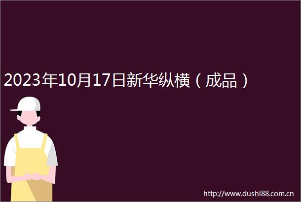 2023年10月17日新华纵横（成品）