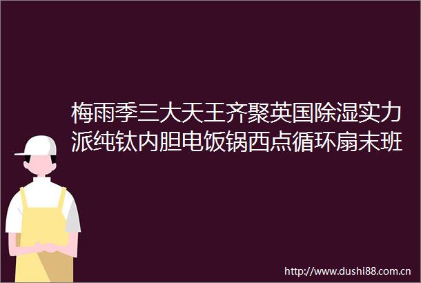 梅雨季三大天王齐聚英国除湿实力派纯钛内胆电饭锅西点循环扇末班福利冲