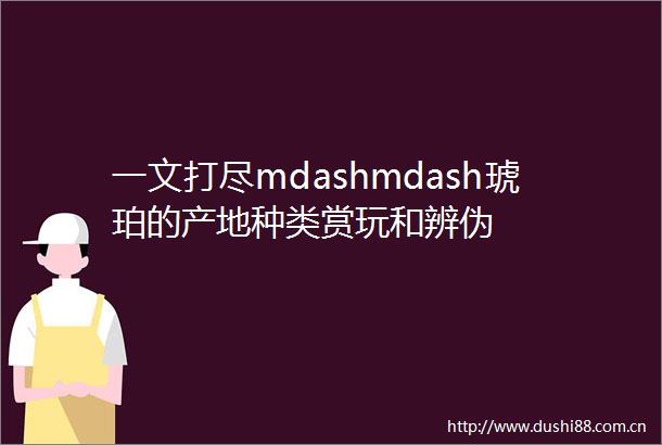 一文打尽mdashmdash琥珀的产地种类赏玩和辨伪