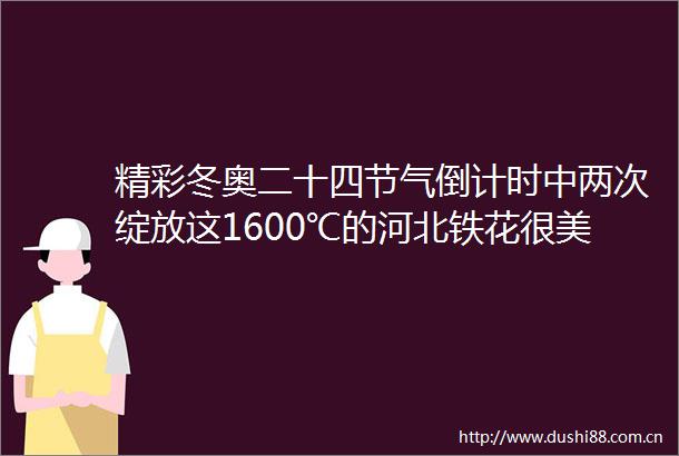 精彩冬奥二十四节气倒计时中两次绽放这1600℃的河北铁花很美很